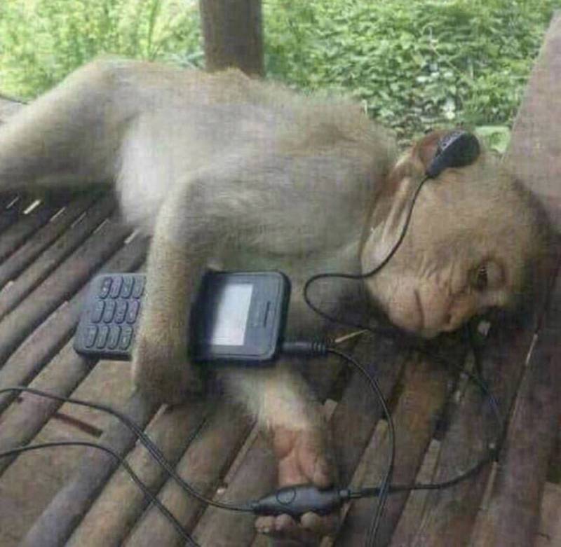 롸 낮도 아니고 어디서 애들이 어엄청 소리지르면서 노네 | 인스티즈