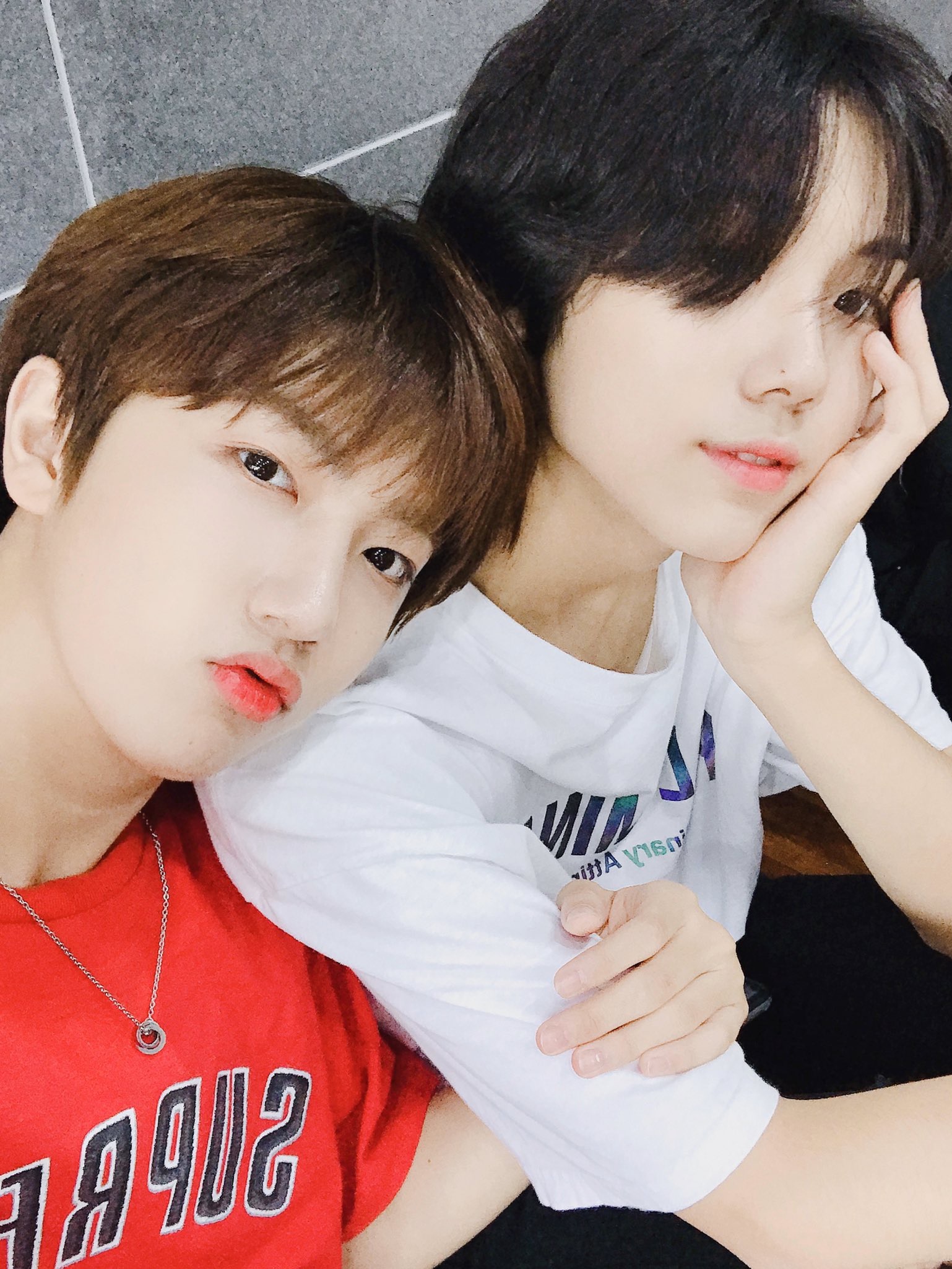 공트 원진 ㅠㅠㅠㅠ | 인스티즈