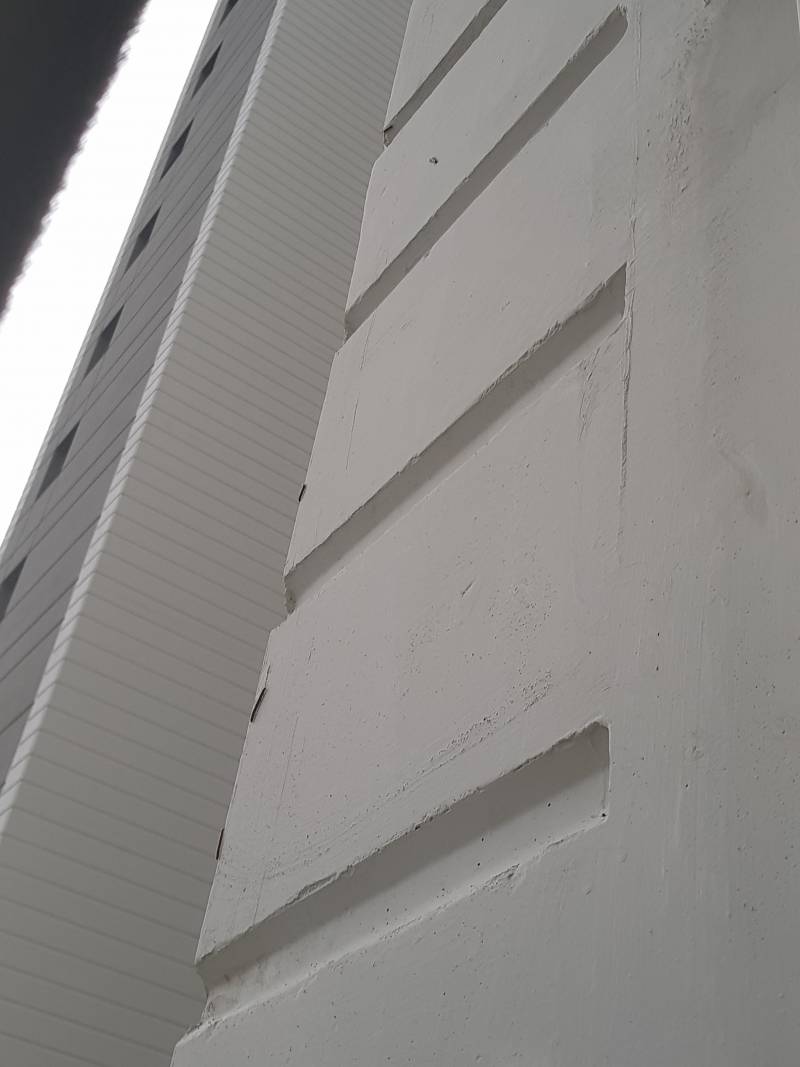 아침이면 어김없이 인사하러 오는 녀석들(벌레 주의) | 인스티즈