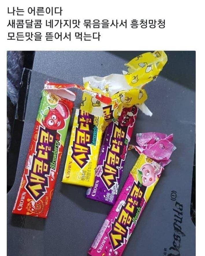 여기 어른인 사람 있어? | 인스티즈