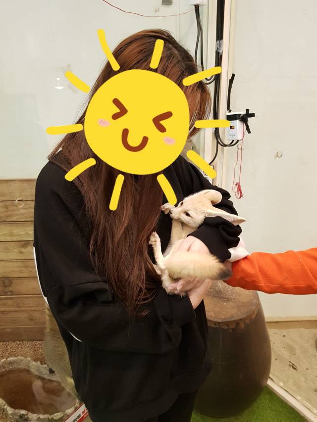 나 오늘 사막여우 만지고 와따 하아앙 | 인스티즈