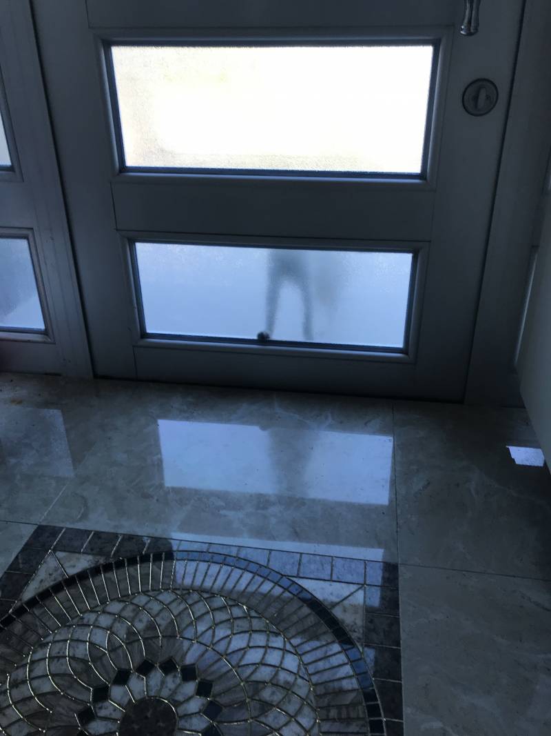 고양이가 자꾸 우리집에 들어오려고 해.. | 인스티즈