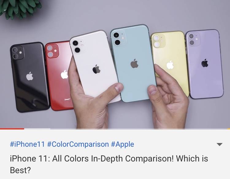 아이폰 11 색 골라죵 💜 | 인스티즈
