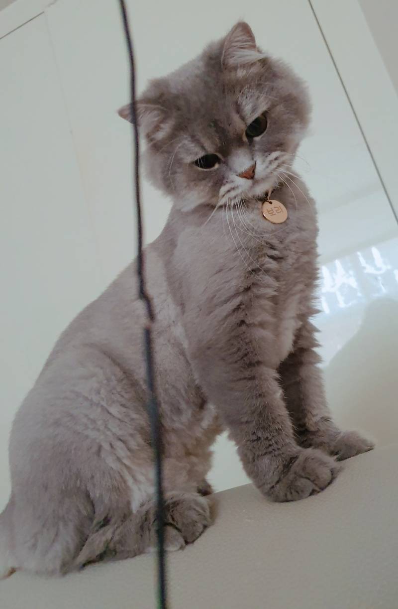 아..이어폰 고장낸애한테 화도못내.... | 인스티즈