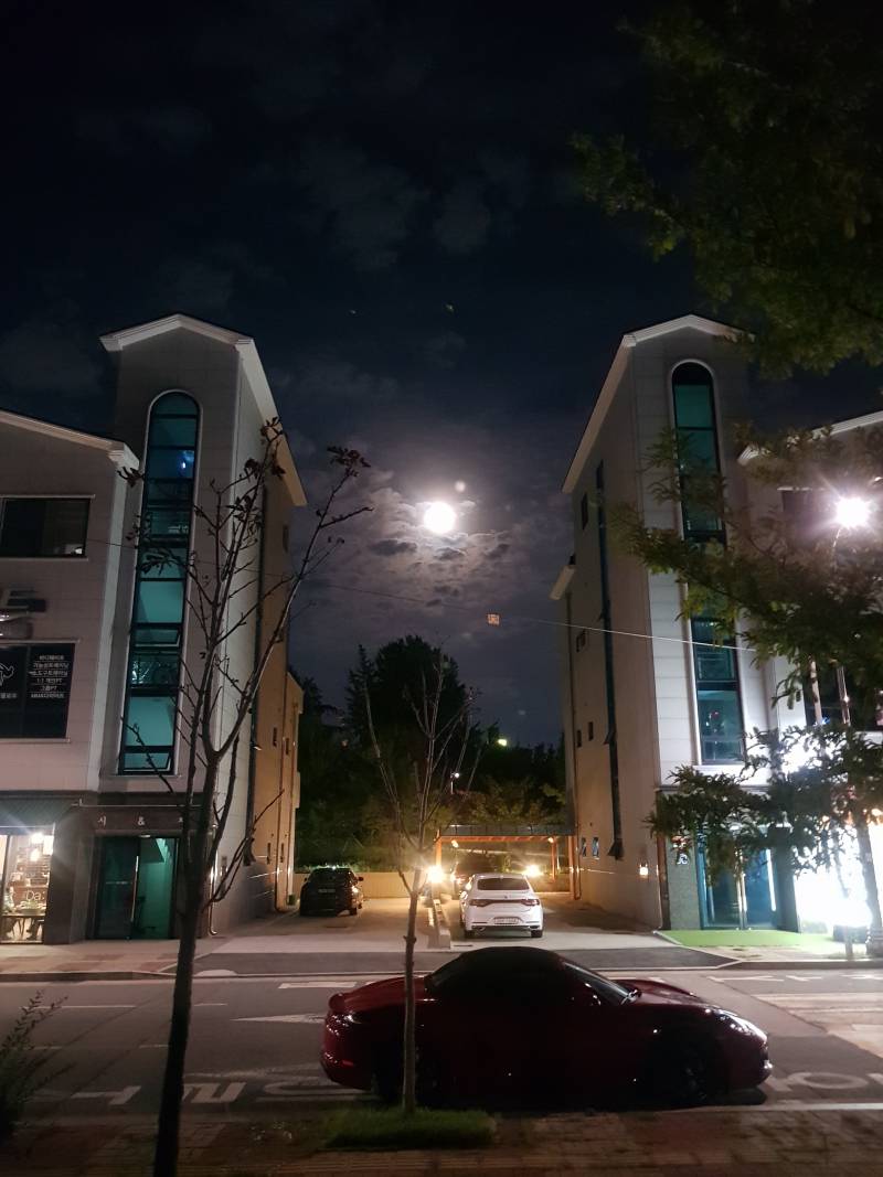 길을 걷다가 그냥 사진!! | 인스티즈