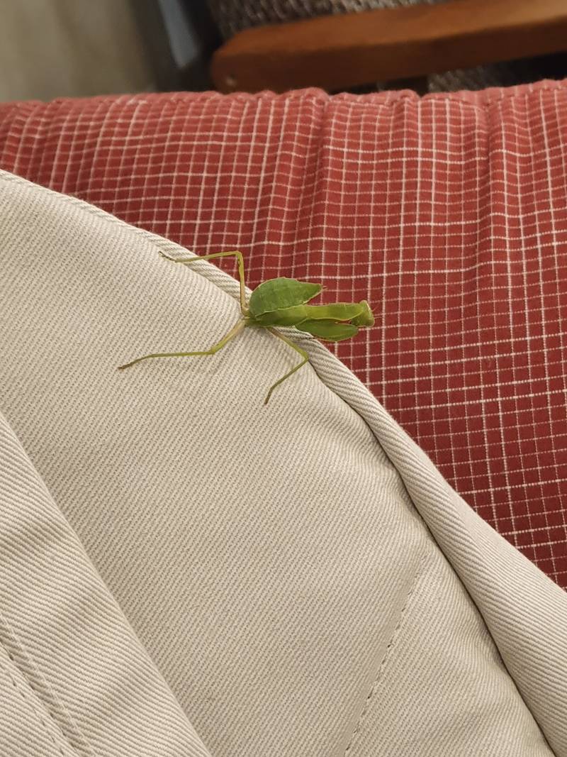 제발 살려조 카페에서 집 가려는데 이거 | 인스티즈