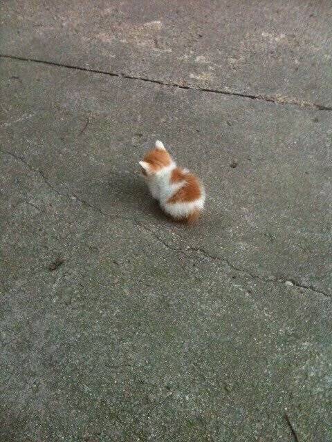 내는 조랭이떡... | 인스티즈