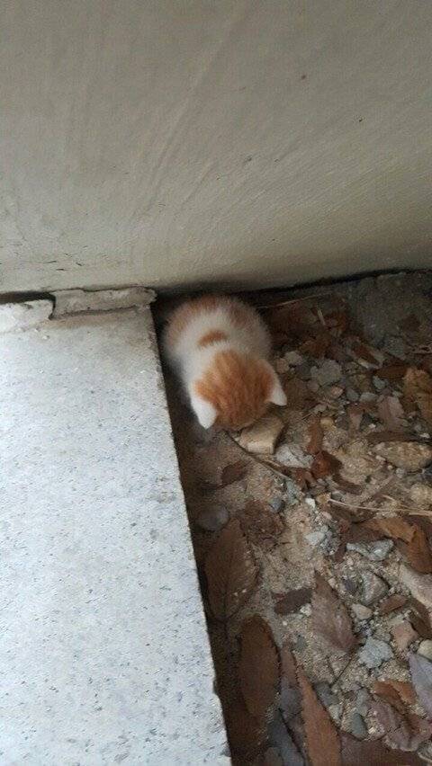 내는 조랭이떡... | 인스티즈