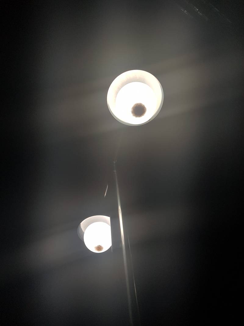 저곳이.. 수많은 날벌레들의 지옥인가 | 인스티즈