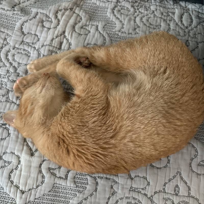 울애기 2개월동안 이만큼 컸다 ㅋㅋㅋㅋ4040 | 인스티즈