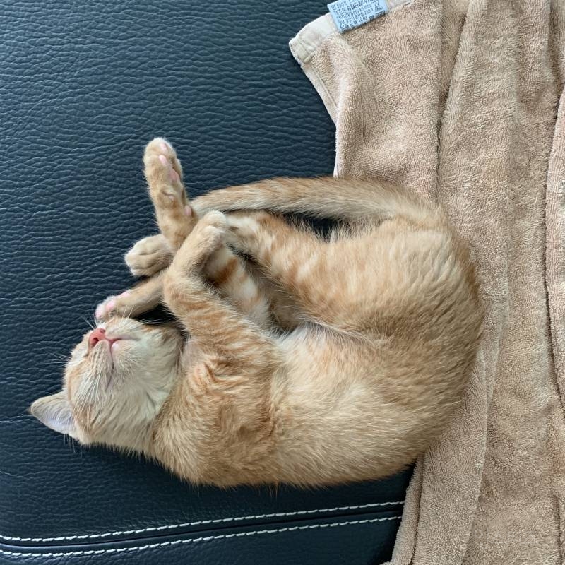 울애기 2개월동안 이만큼 컸다 ㅋㅋㅋㅋ4040 | 인스티즈