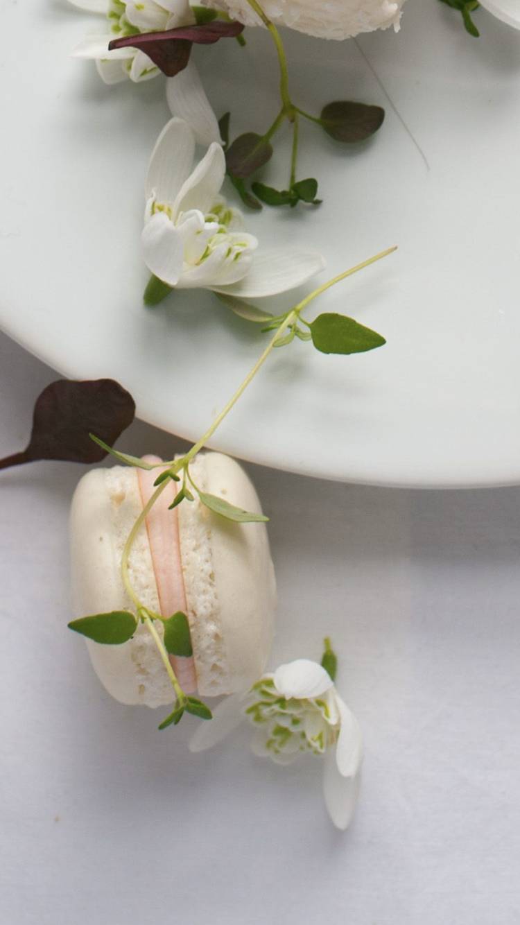 익들아 이거 풀 이름 뭘까 젭알 도와줘.... | 인스티즈