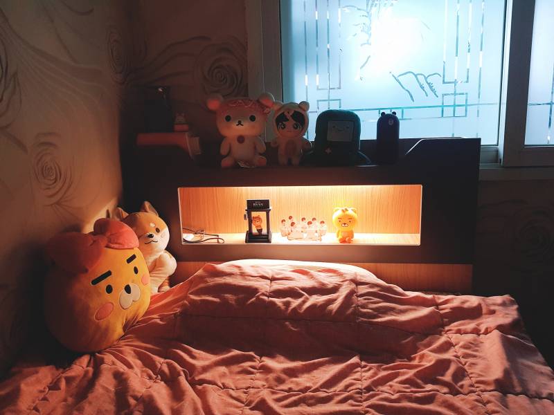 내 침대는 누가봐도 아 얘 라이언 좋아하는구나 할 수 있을법한 침대야 | 인스티즈