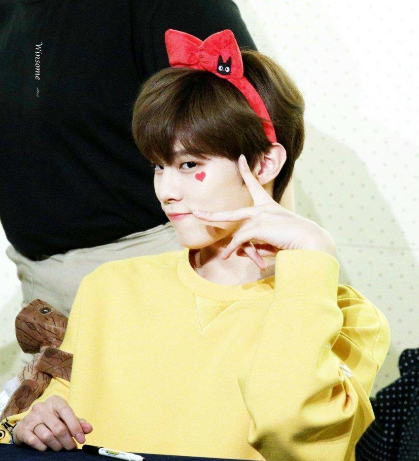 요새는 김우석 애옹단이 원탑임 | 인스티즈