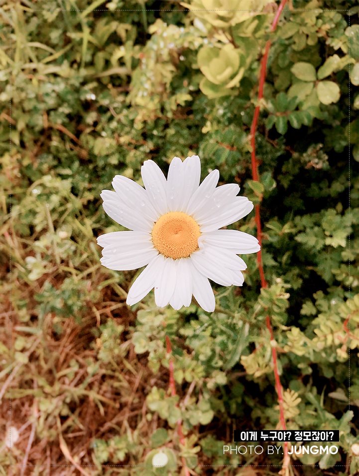 아니 이거 정모가 지은 제목인데 이게 누구야? 정모잖아? 실화냐곸ㅋㅋㅋㅋㅋㅋㅋ | 인스티즈