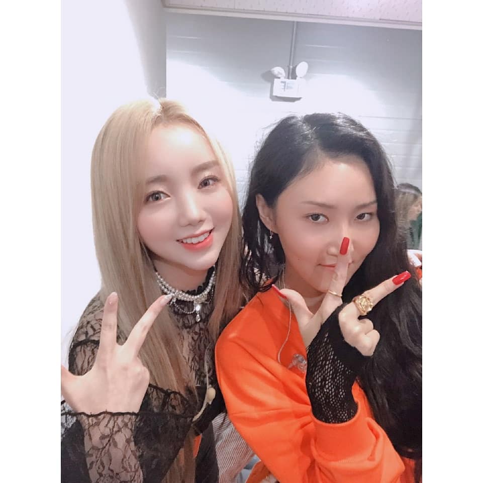 케이 화사 셀카 올라왔담 | 인스티즈