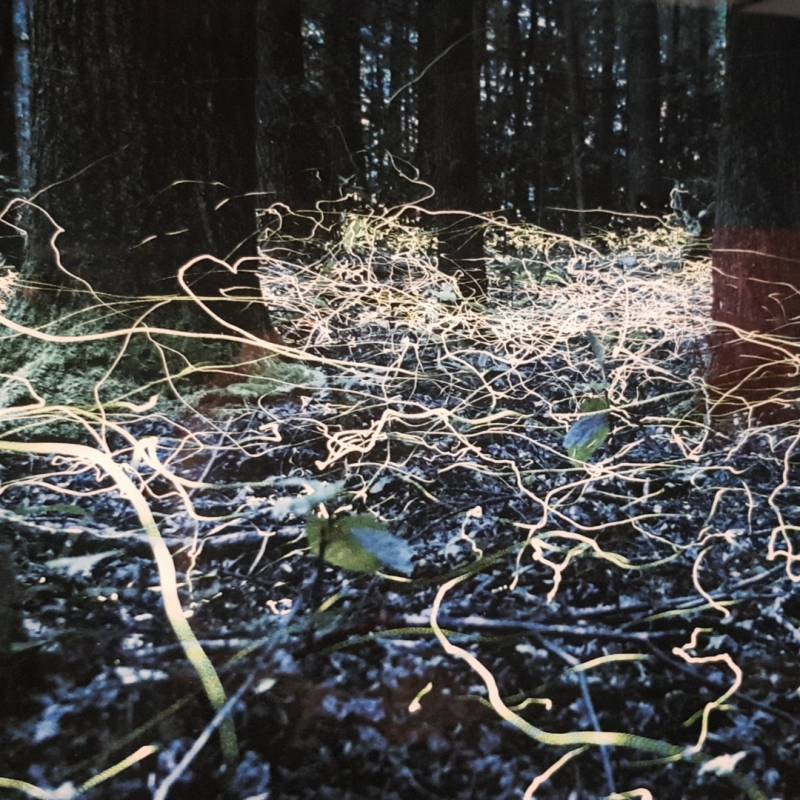 Love is you | 인스티즈