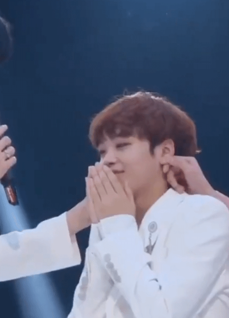 송형준 진짜 사람 손 잘 타는 짤들 모음 | 인스티즈