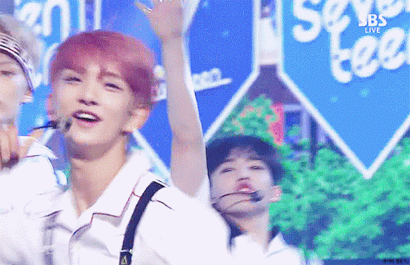 [잡담] 자몽슈아라고 알아? 진짜 자몽슈아는 미쳤어! | 인스티즈