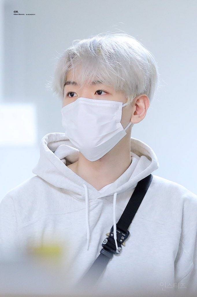 팬레터를 읽고 있던 아시아나 비즈니스석 하얀머리 | 인스티즈