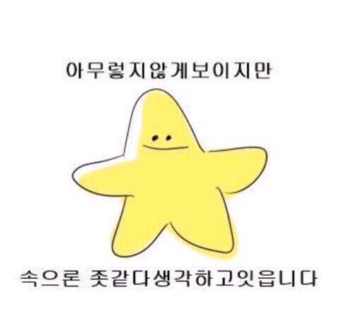 스타쉽 가수 본진으로 두고있는 팬들 상황 | 인스티즈