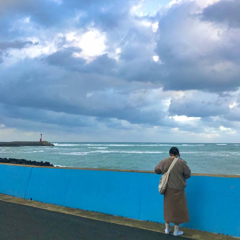 10월 제주도는 최고야🍊🌴💛 | 인스티즈