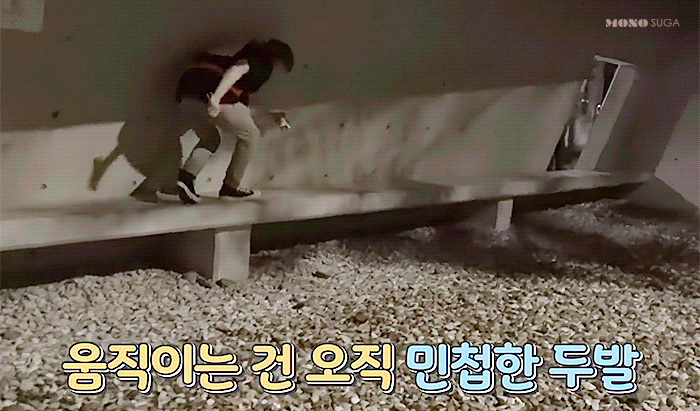 오늘 달방에서 민윤기 최강총수면모를 보이며 너무 귀여웠던 건에 대하여 | 인스티즈