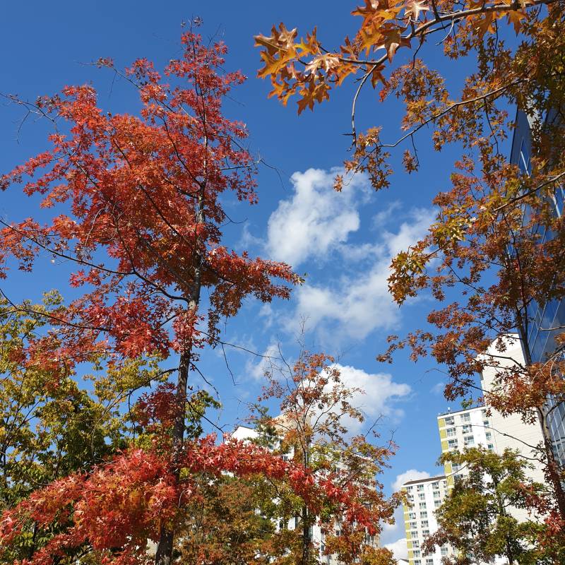 오늘 날씨 되게 따뜻하고 좋다 | 인스티즈