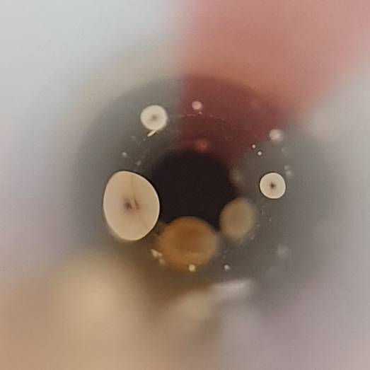 이거 뭐게~?ㅋㅋㅋㅋㅋㅋㅋㅋㅋㅋㅋㅋ | 인스티즈