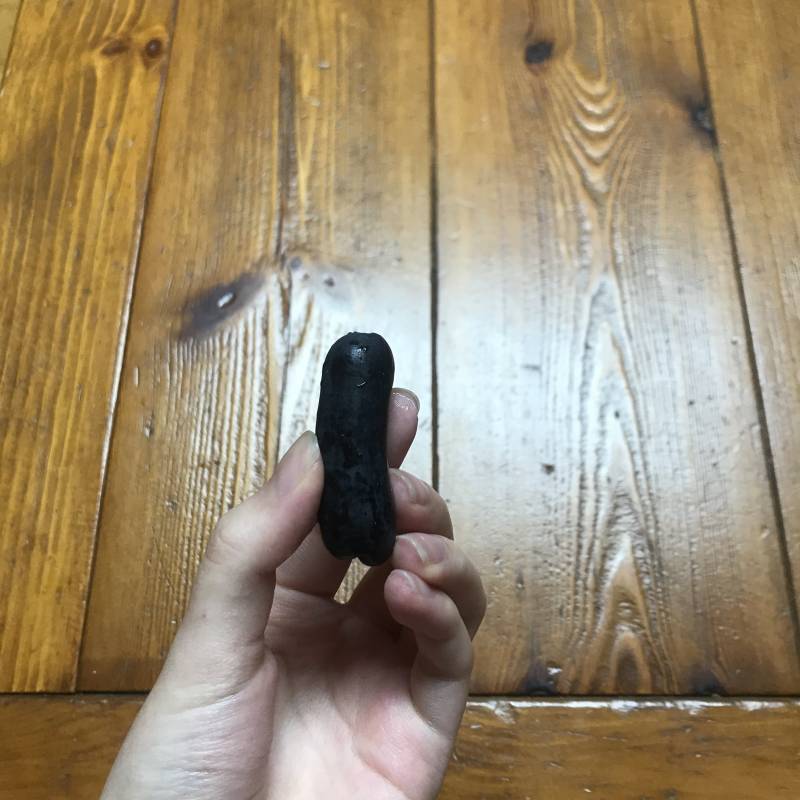 포도 짱 신기하게 생겼어🍇🍇 | 인스티즈