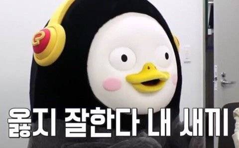 🐧펭 수 야 사 랑 해🐧 | 인스티즈