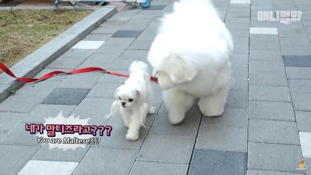 누가 이거보고 단오하루랰ㅋㅋㅋㅋㅋㅋㅋㅋㅋ | 인스티즈