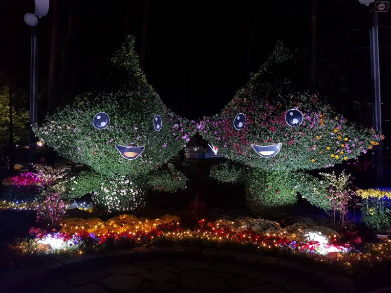 동네 공원에 축제라고 이리저리 꾸며놨는데 좀 촌스러운데 보기 좋다 | 인스티즈