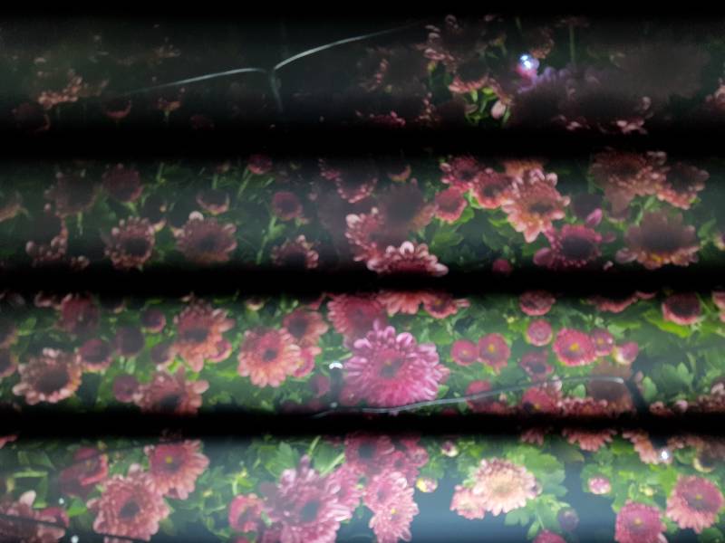 익들아 이거 예쁘지? | 인스티즈