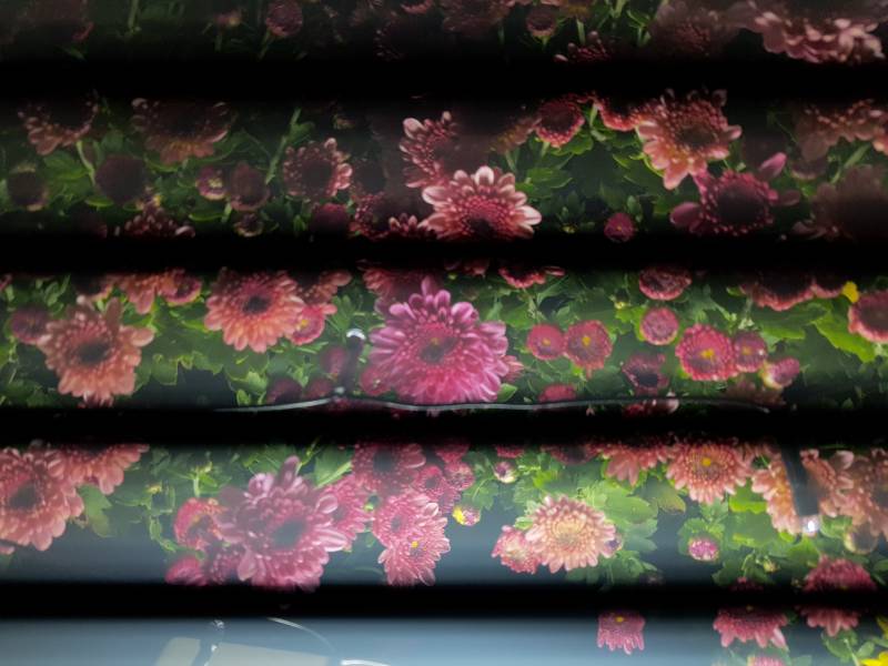 익들아 이거 예쁘지? | 인스티즈