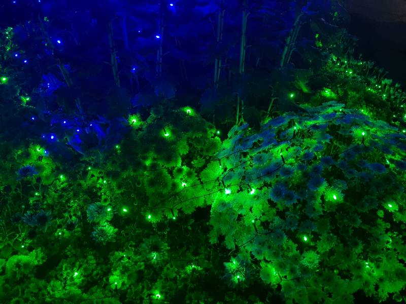 익들아 이거 예쁘지? | 인스티즈