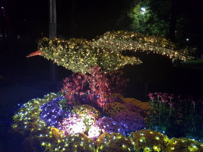 동네 공원에 축제라고 이리저리 꾸며놨는데 좀 촌스러운데 보기 좋다 | 인스티즈
