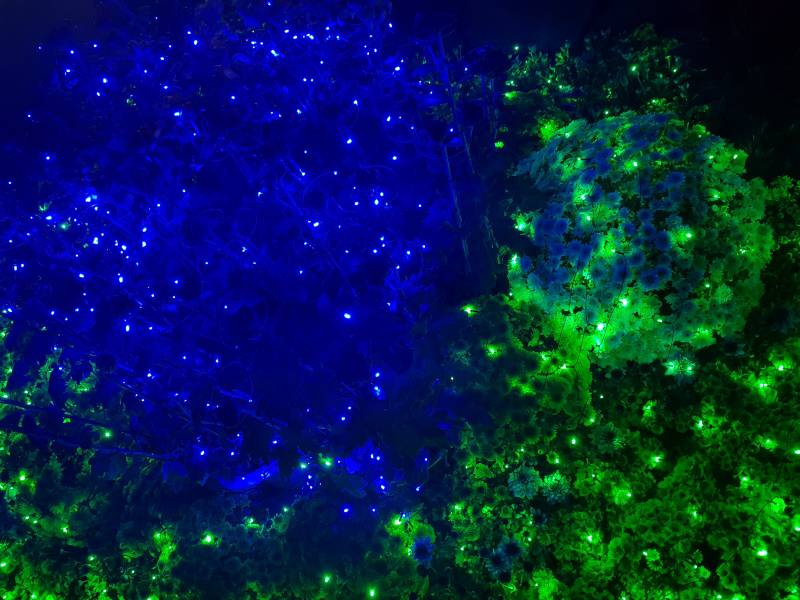 익들아 이거 예쁘지? | 인스티즈