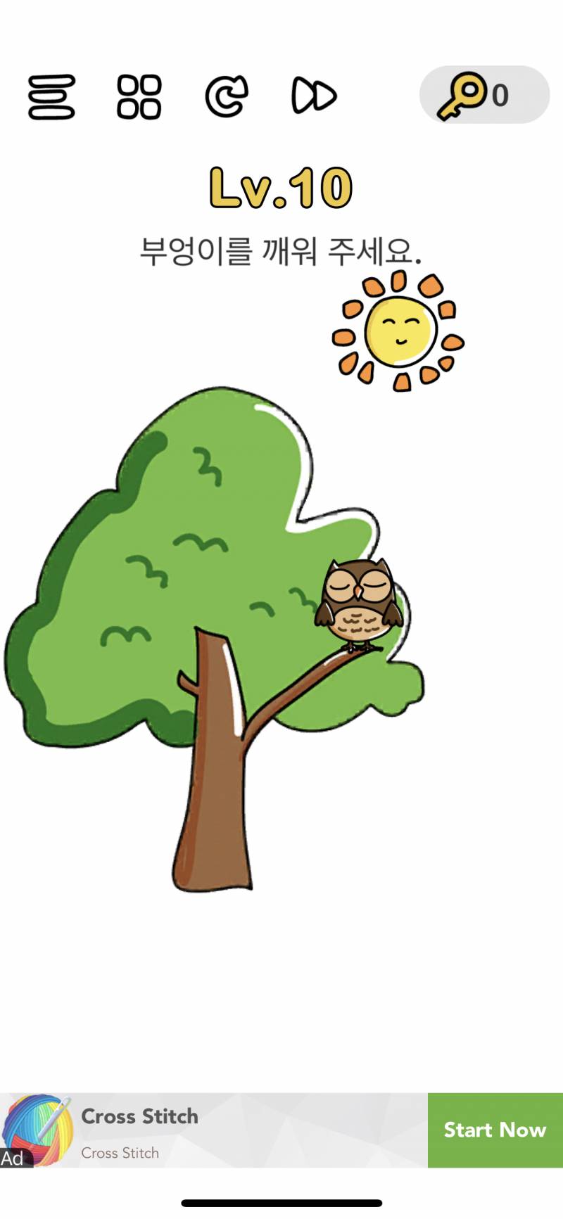 부엉이를 어떻게 깨울까? | 인스티즈