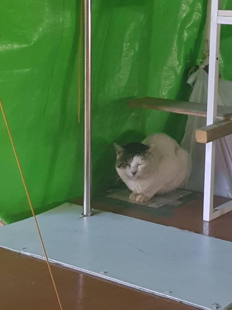 자는 줄 알았는데 나 움직이니까 고개가 따라옴 | 인스티즈