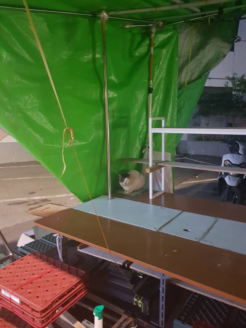 자는 줄 알았는데 나 움직이니까 고개가 따라옴 | 인스티즈