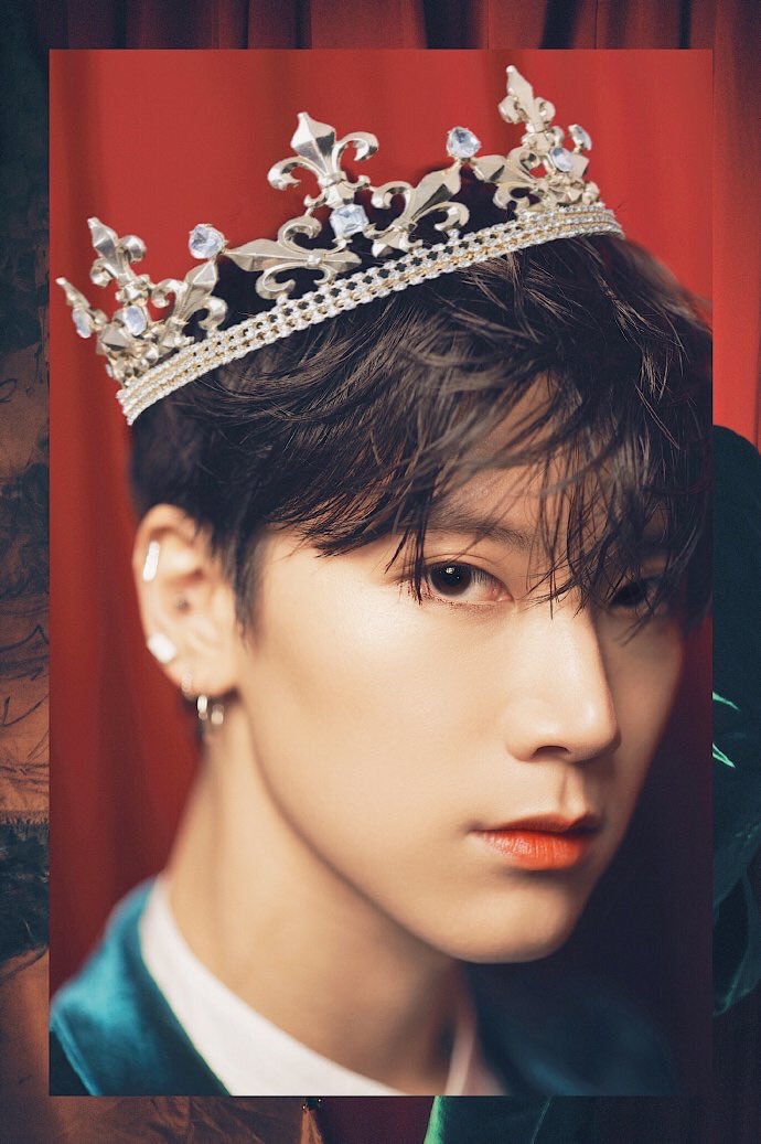 내 최애 내한한다!!!!!!!!!!!!!!! | 인스티즈