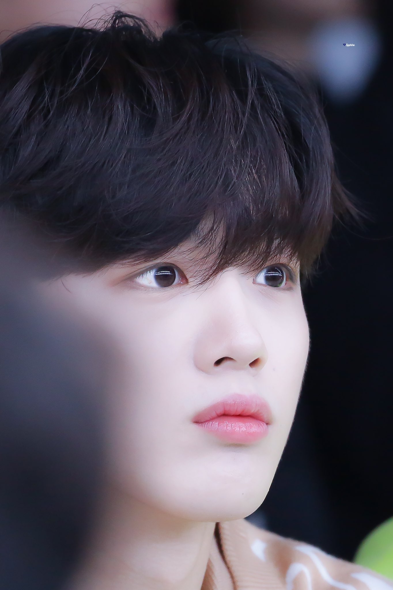 김요한 걍 강아지 환생한 거자너; | 인스티즈