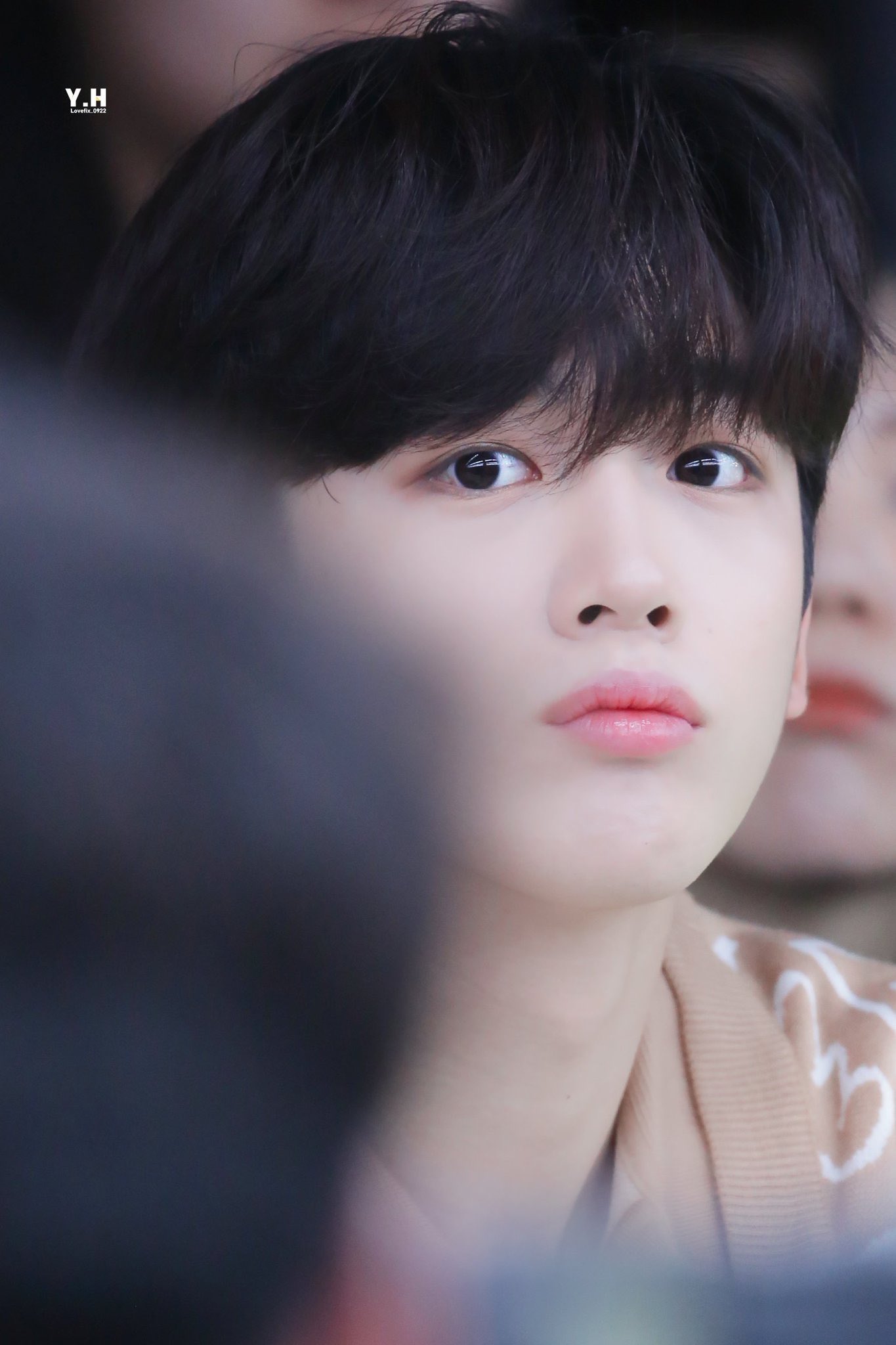 김요한 걍 강아지 환생한 거자너; | 인스티즈