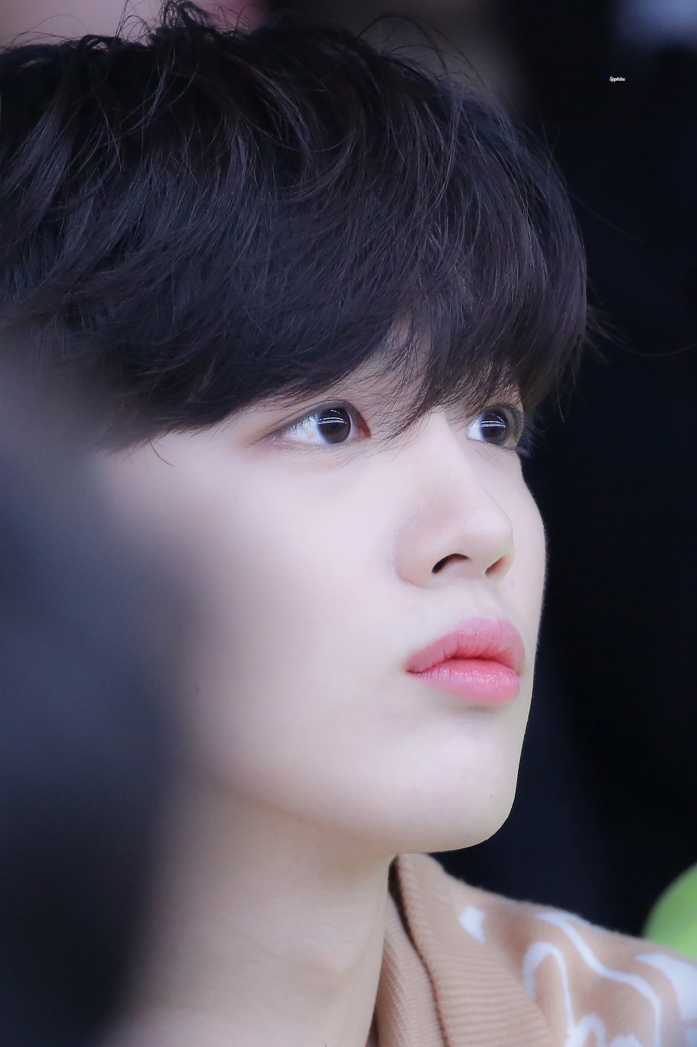 김요한 걍 강아지 환생한 거자너; | 인스티즈