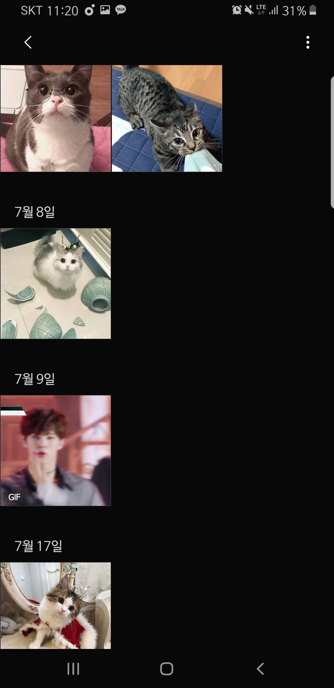 우주폰이 자동으로 김우석 고양이라고 분류해놓은거봨ㅋㅋㅋㅋㅋㅋ | 인스티즈