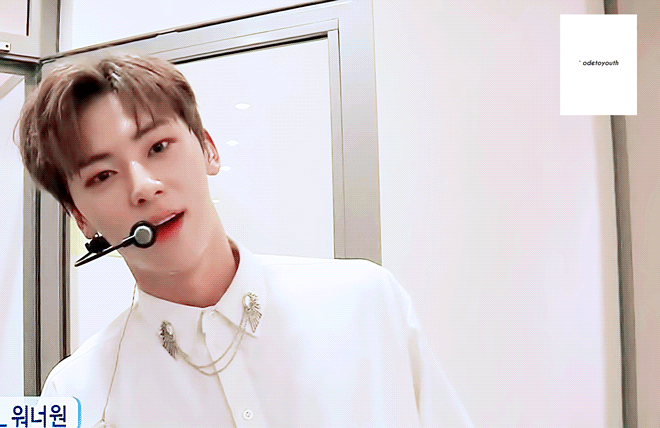 내 취향 소나무인 거 봐봐 ㅋㅋㅋㅋㅋㅋㅋ | 인스티즈