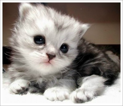 1 2 중에 누가 김우석이야? | 인스티즈