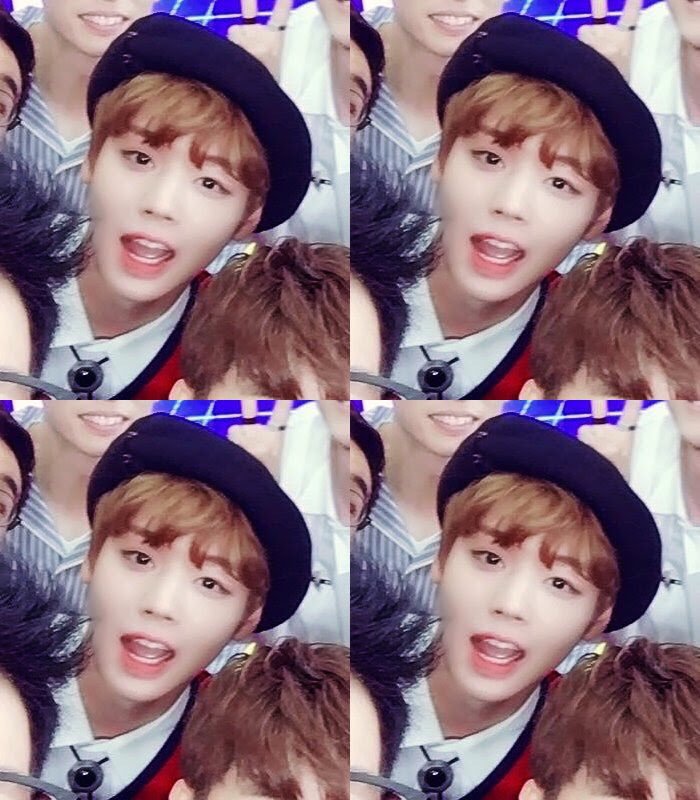 박지훈 베레모 제가 사랑하는데요 | 인스티즈