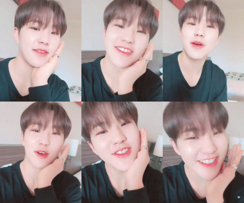 얼굴에 살찐 호시 | 인스티즈